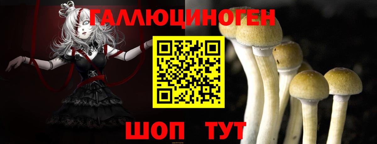 Псилоцибиновые грибы Psilocybe  Псилоцибиновые грибы Magic Shrooms  купить наркоту  Вход с VPN  Кохма 